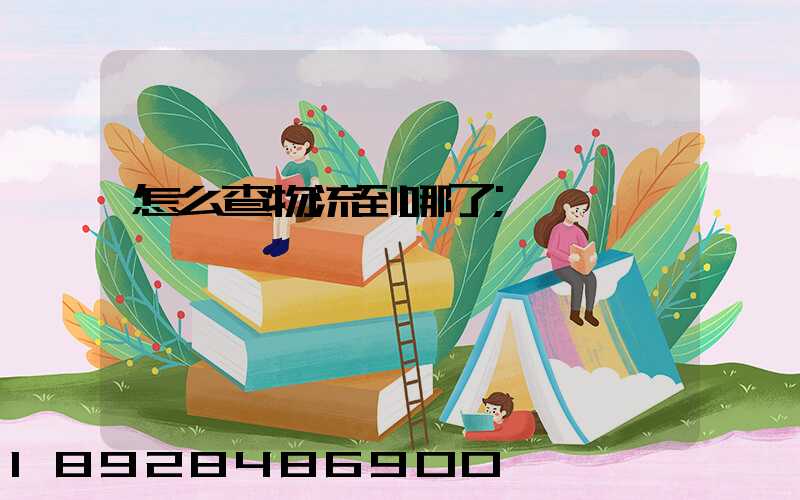怎么查物流到哪了